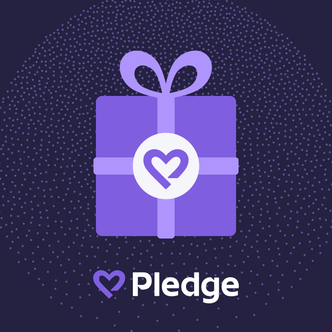 Donation to Beast Philanthropy - Image 6